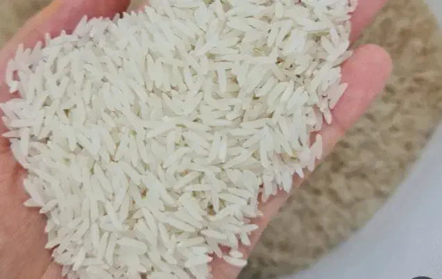 برنج فجر|خوردنی و آشامیدنی|خان ببین, |دیوار