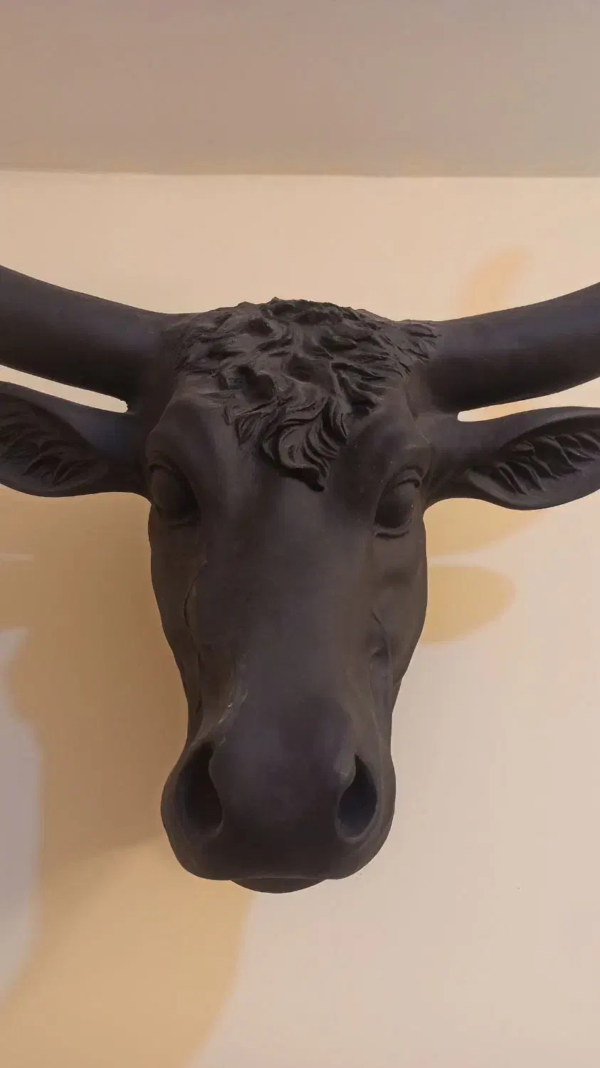 کله گاو دیواری تزئینی|مجسمه، تندیس، ماکت|مشهد, چهارچشمه|دیوار