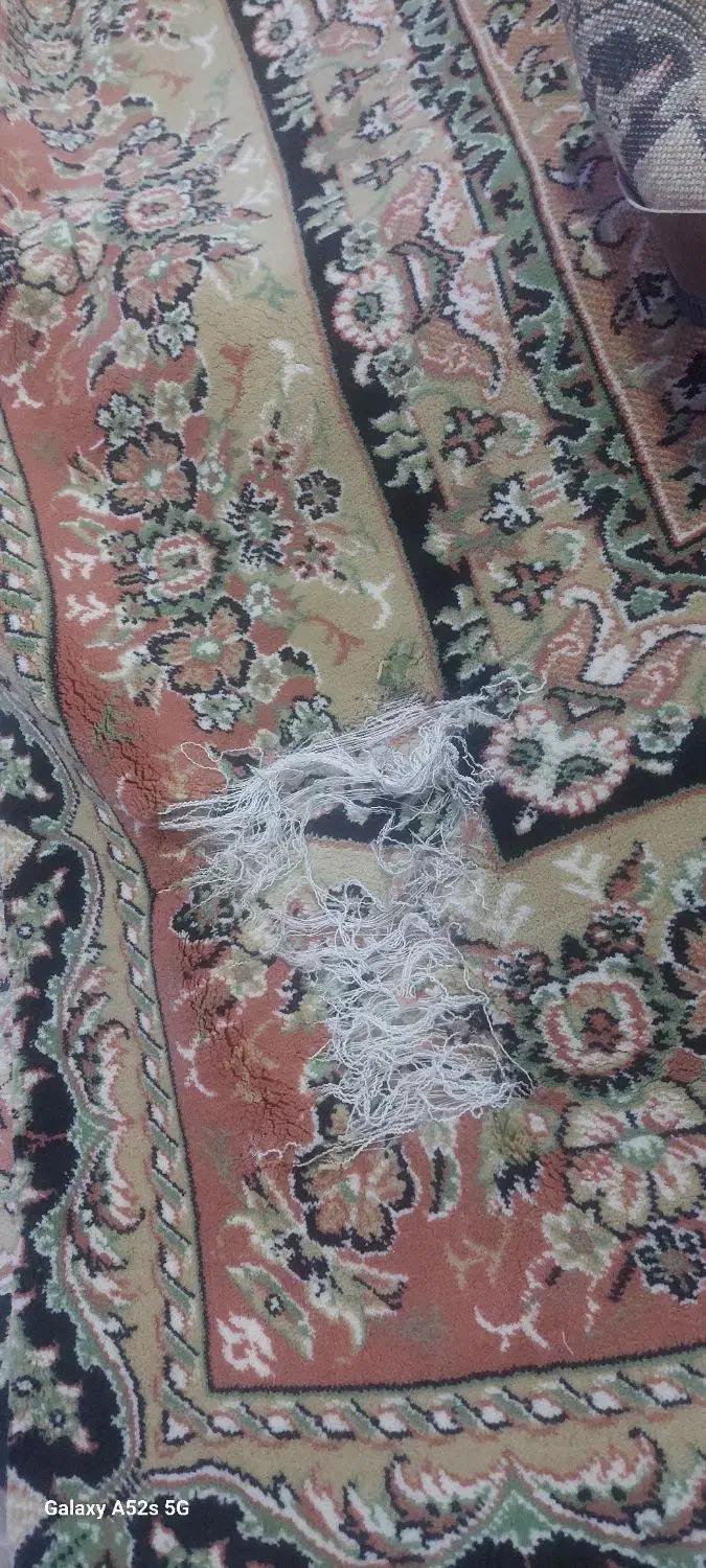 فرش ۱۲ متری|فرش|پاکدشت, پاکدشت (مامازند)|دیوار