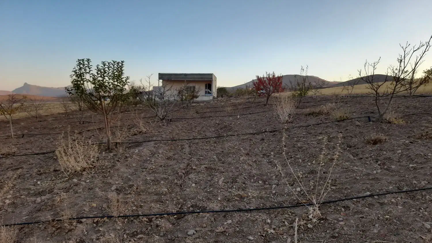 باغ۵۰۰۰مترروستای حیران|فروش دفتر صنعتی، کشاورزی، تجاری|همدان, |دیوار