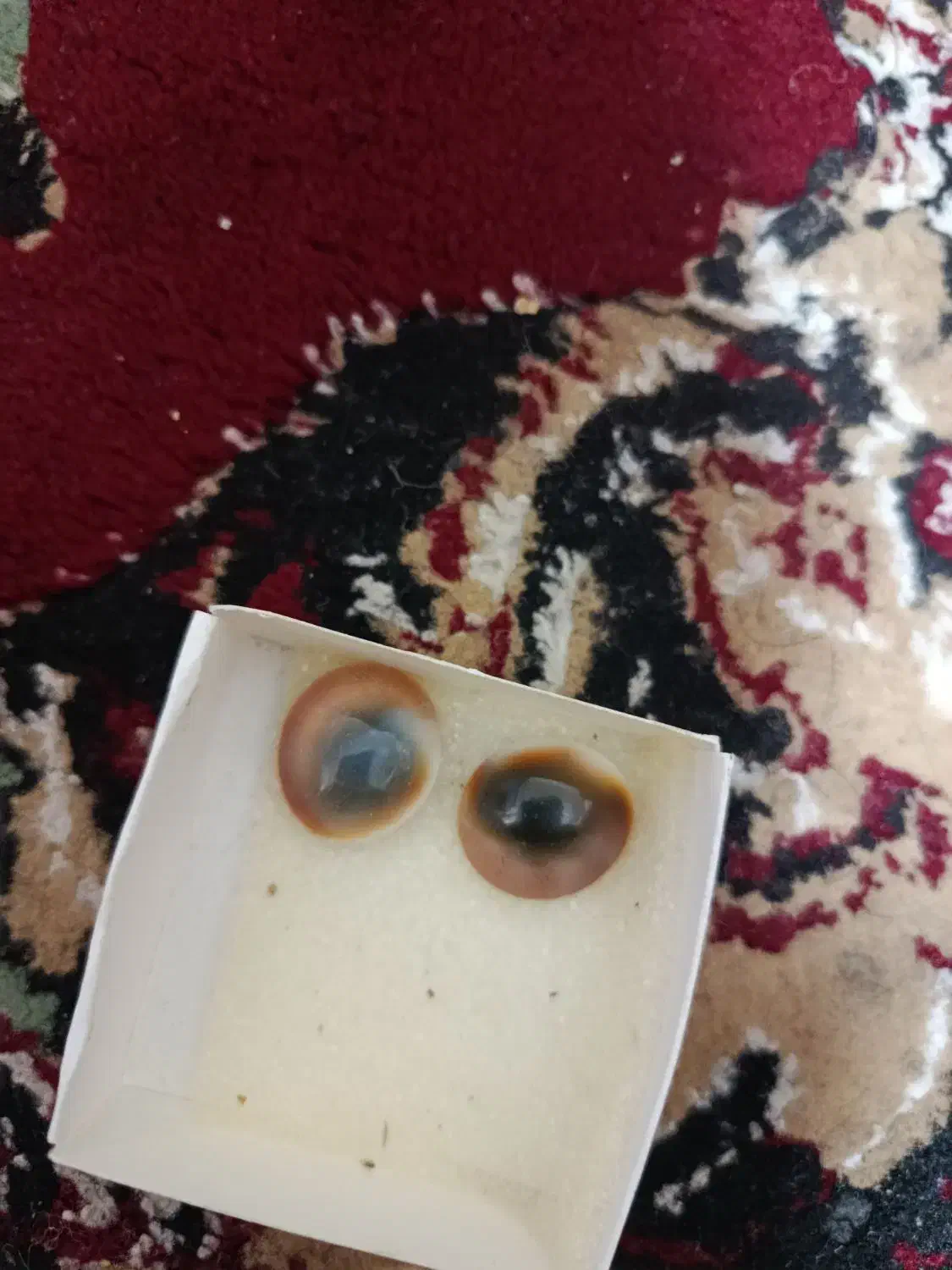 مهره اصل|جواهرات|تربت‌حیدریه, شهرک ولیعصر|دیوار