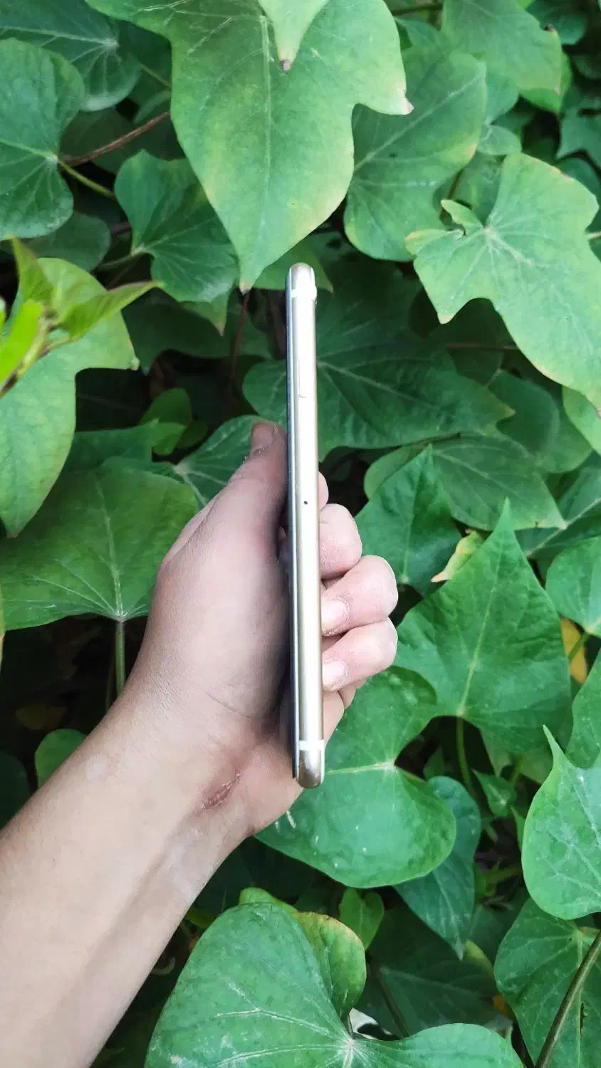 ایفون 6s 64|موبایل|اهواز, شهرک پیام|دیوار