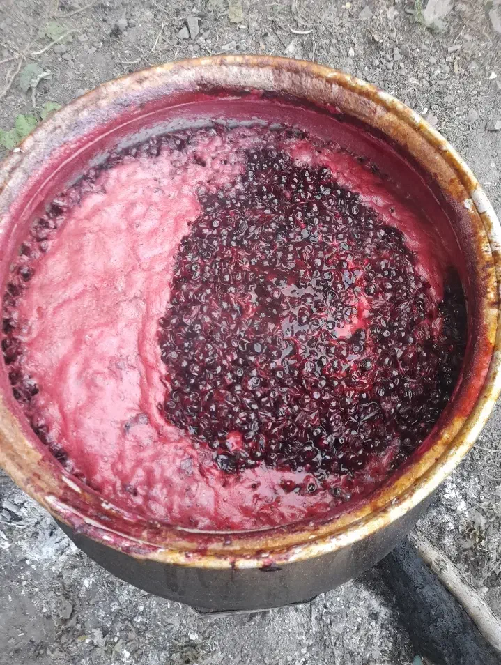 رب الوچه ملس وترش|خوردنی و آشامیدنی|رشت, باهنر|دیوار