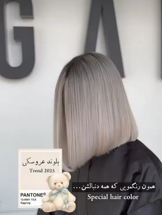 مدل رنگ مو|خدمات آرایشگری و زیبایی|نیشابور, امین اسلامی|دیوار