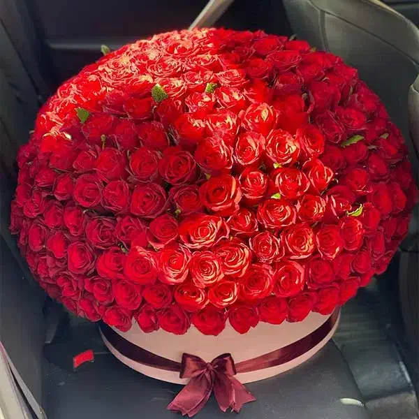 گل رز|گل مصنوعی|قم, صفائیه|دیوار