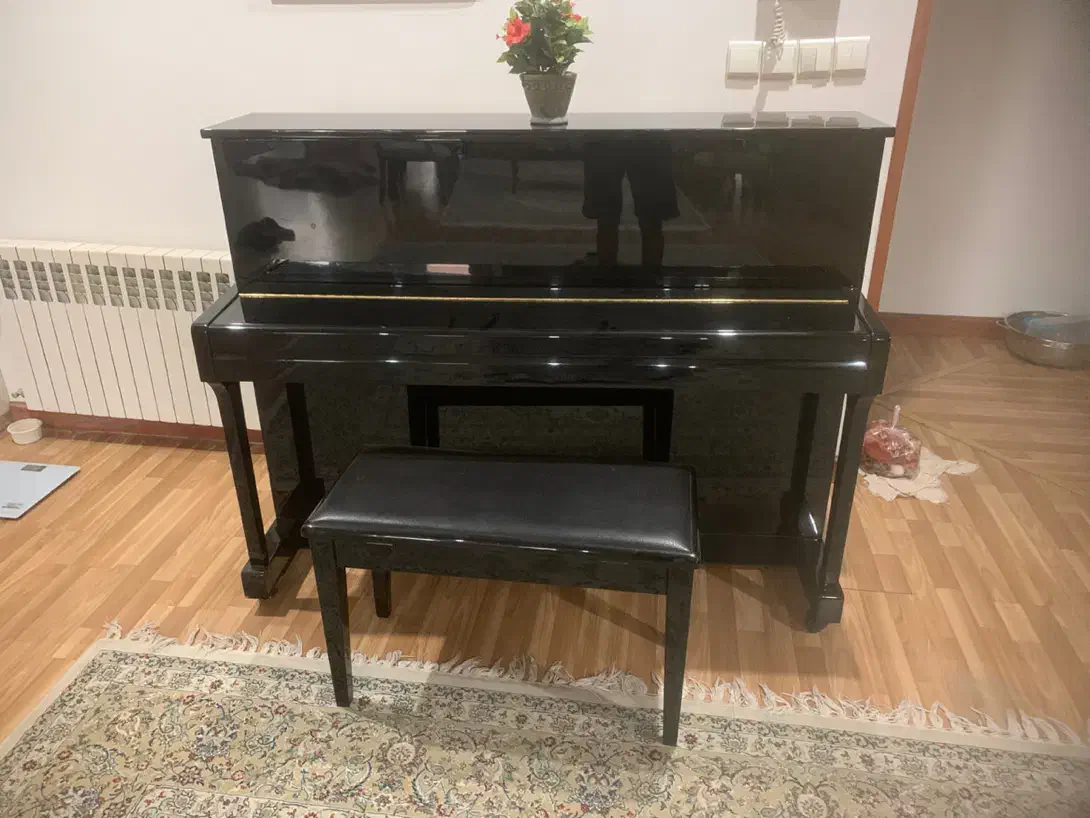 پیانو سمیک ۱۱۵ کاملا سالم|پیانو، کیبورد، آکاردئون|کرج, عظیمیه|دیوار