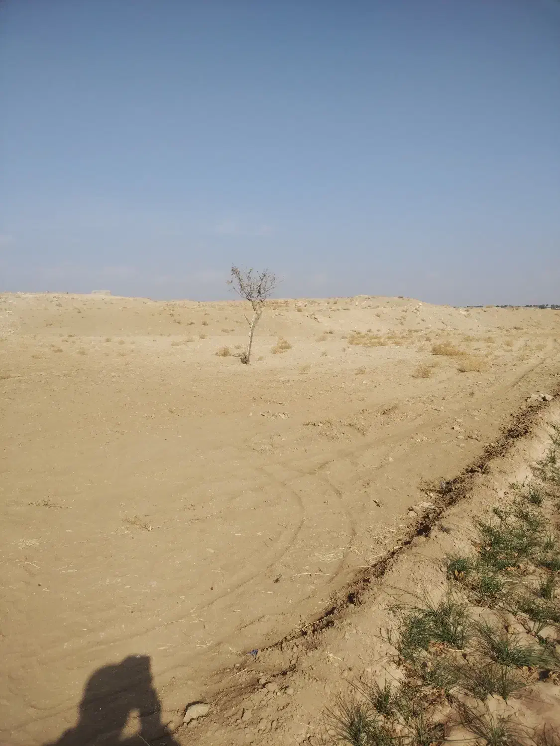 فروش زمین|فروش زمین و ملک کلنگی|تربتحیدریه, بالا ولایت|دیوار