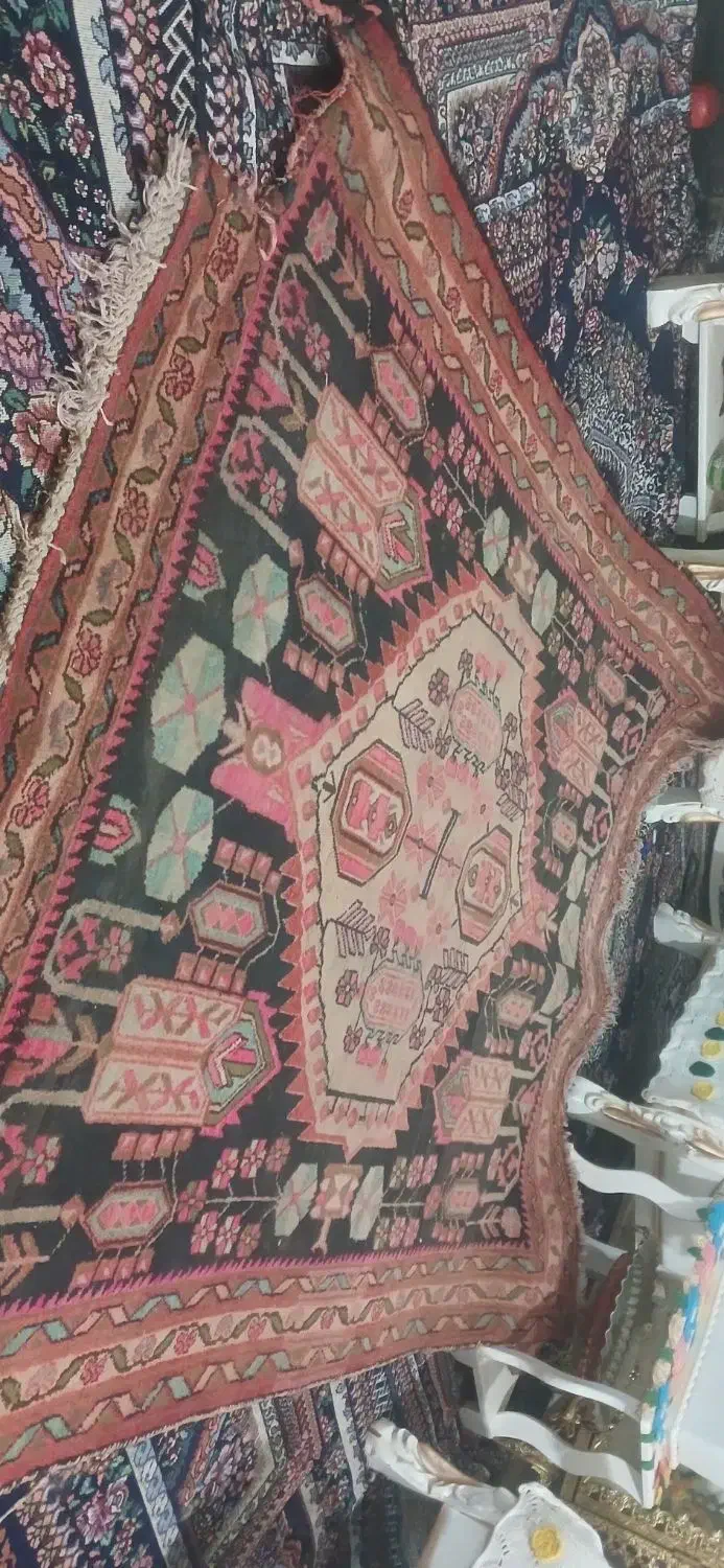 فروش قالی محلی|فرش|بردسیر, |دیوار