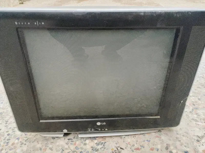 تلوزیون|تلویزیون و پروژکتور|بندر امام خمینی, |دیوار