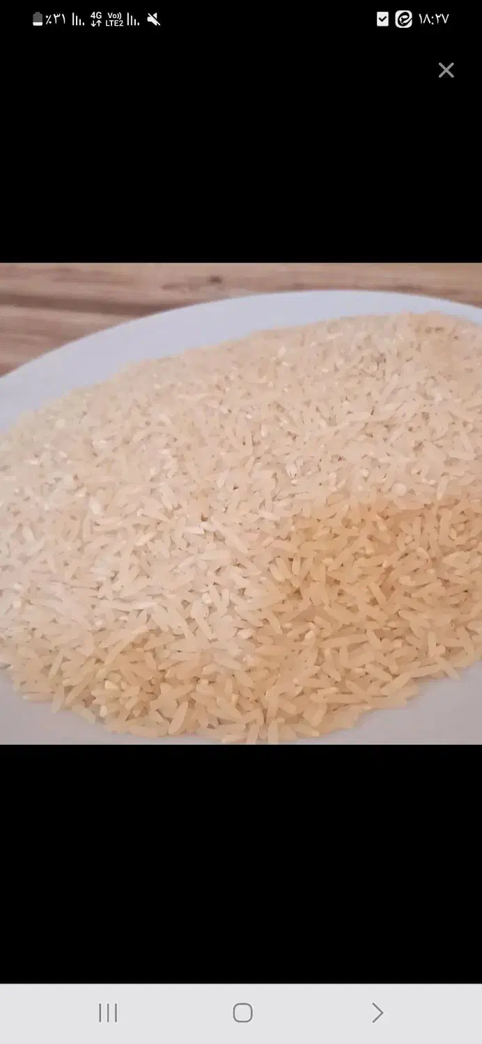برنج طارم امسال|خوردنی و آشامیدنی|دهدشت, |دیوار