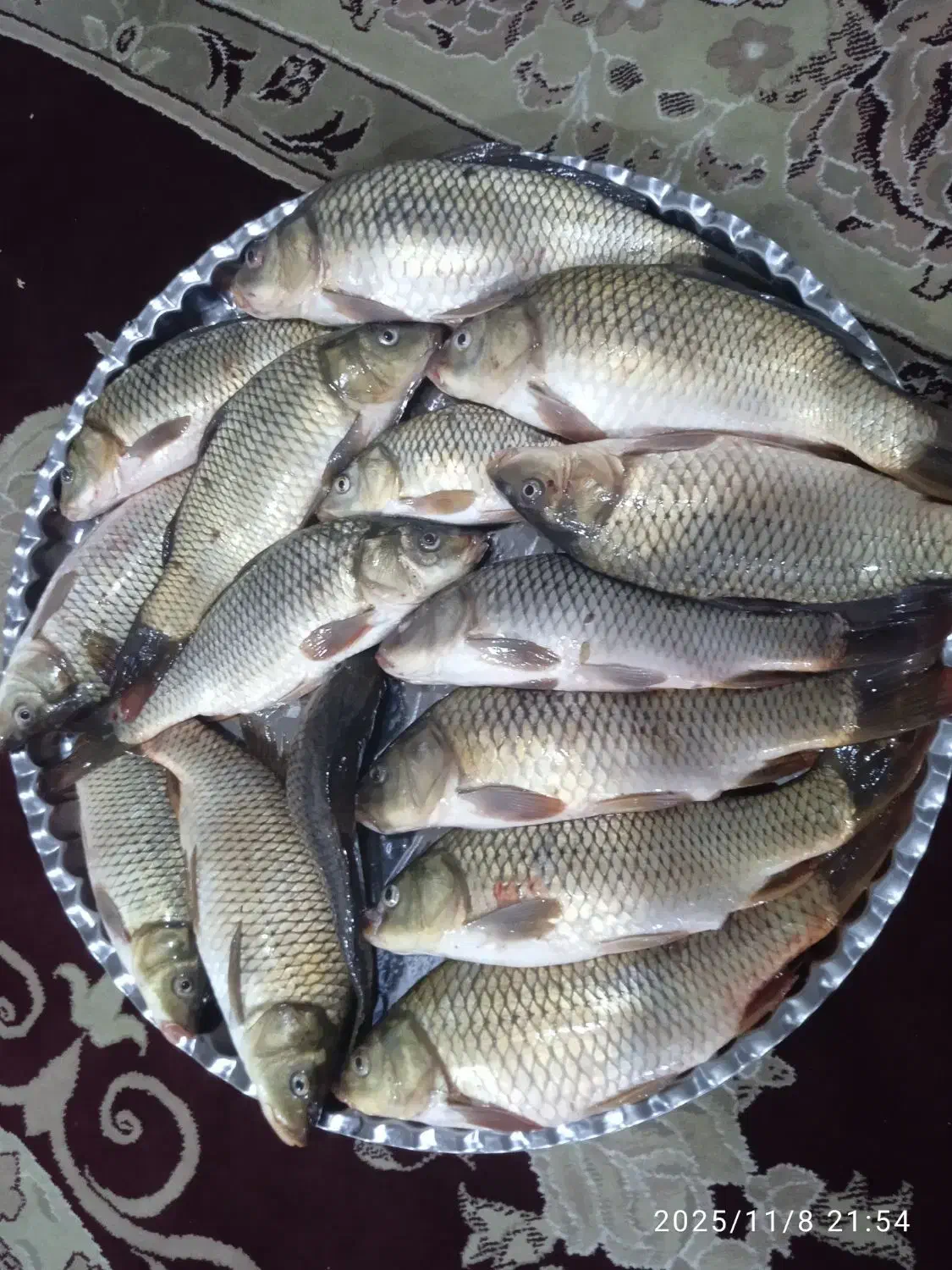 ماهی کپور تازه|ماهی|اندیمشک, |دیوار