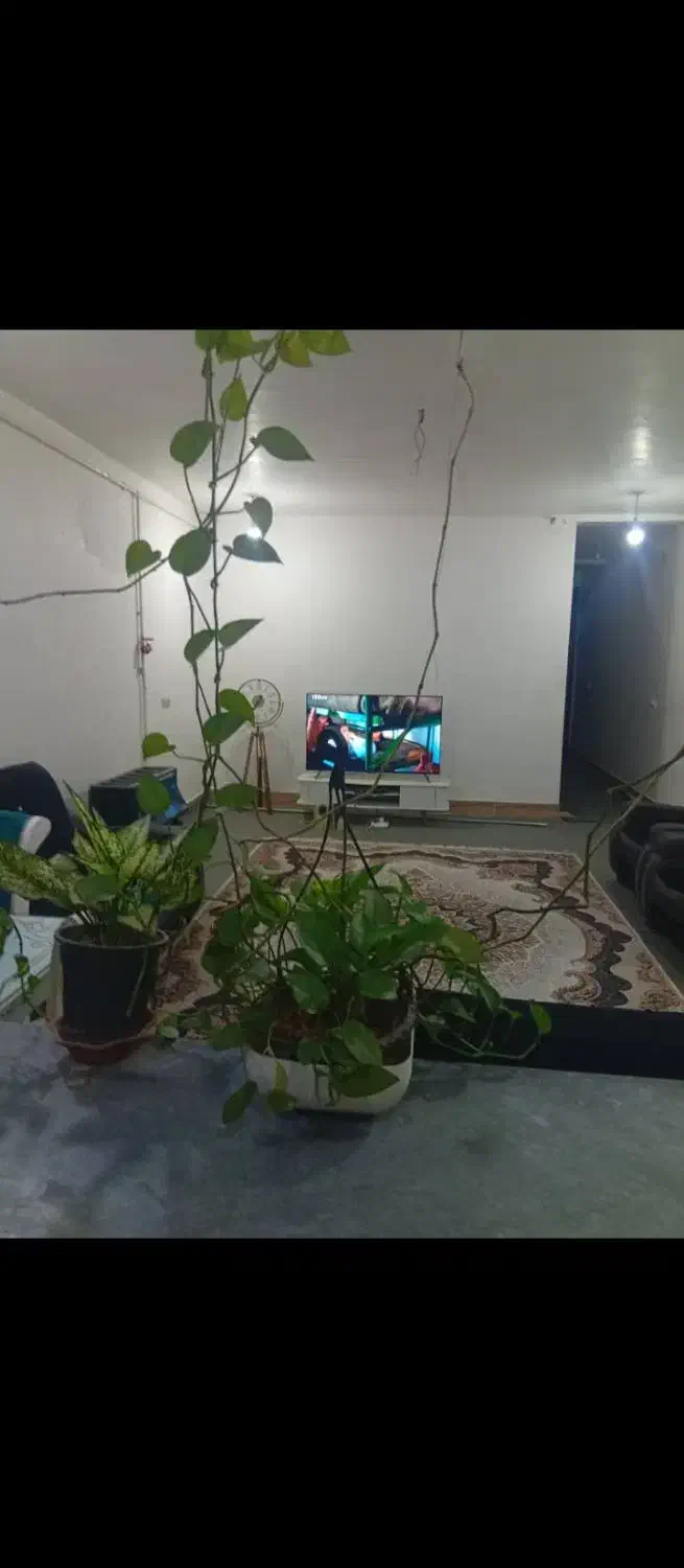 فروش همکف پشت کاردانش|فروش آپارتمان|بهبهان, |دیوار