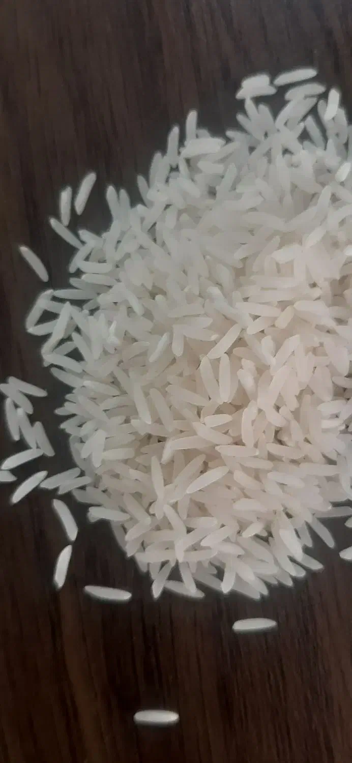 برنج فجر سوزنی ۱۲۰ روزه مستقیم از کشاورز|خوردنی و آشامیدنی|گرگان, |دیوار