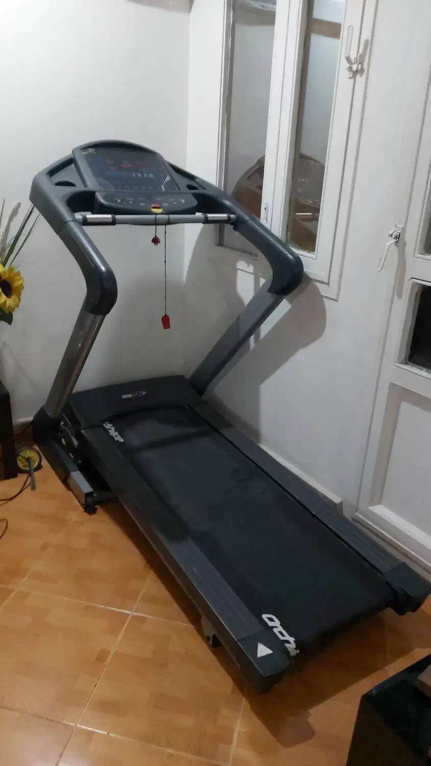 تردمیل دیک سیتی orchidinshape اصلی|تجهیزات ورزشی|کرج, فاز ۴ مهرشهر|دیوار