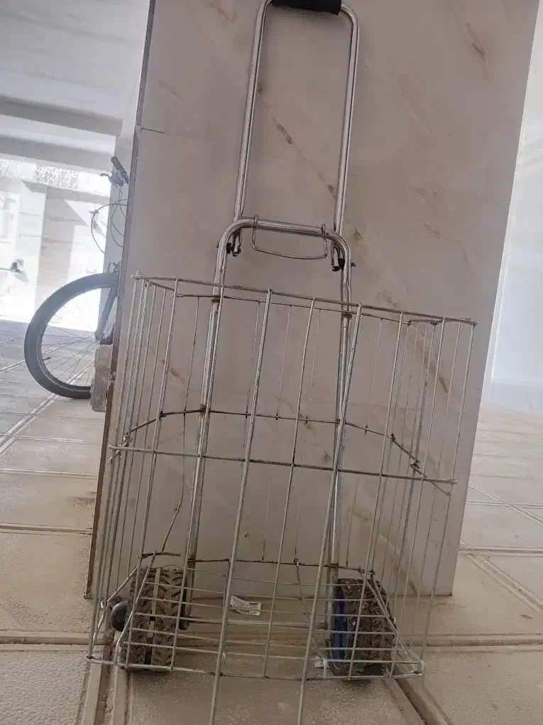 سبد آشپزخانه و لباس تصاویر رو ببینید|ظروف نگهدارنده، پلاستیکی، یک‌بارمصرف|بجنورد, |دیوار