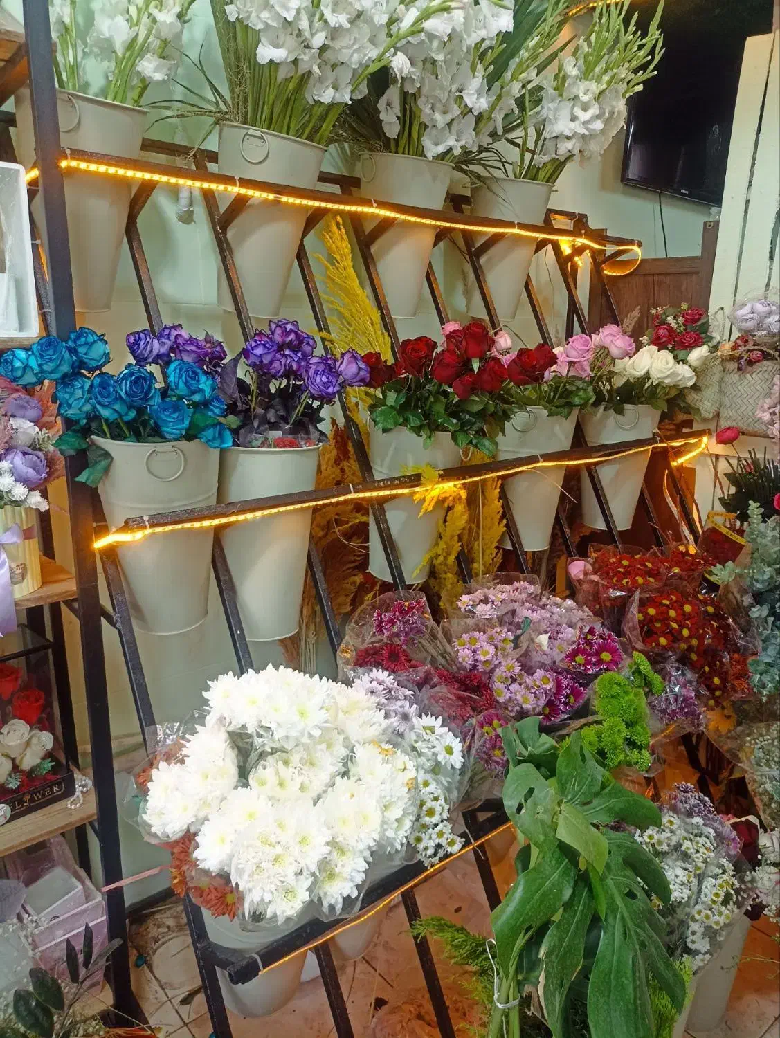 پایه گلدان|کتابخانه، شلف، قفسههای دیواری|نسیمشهر, |دیوار