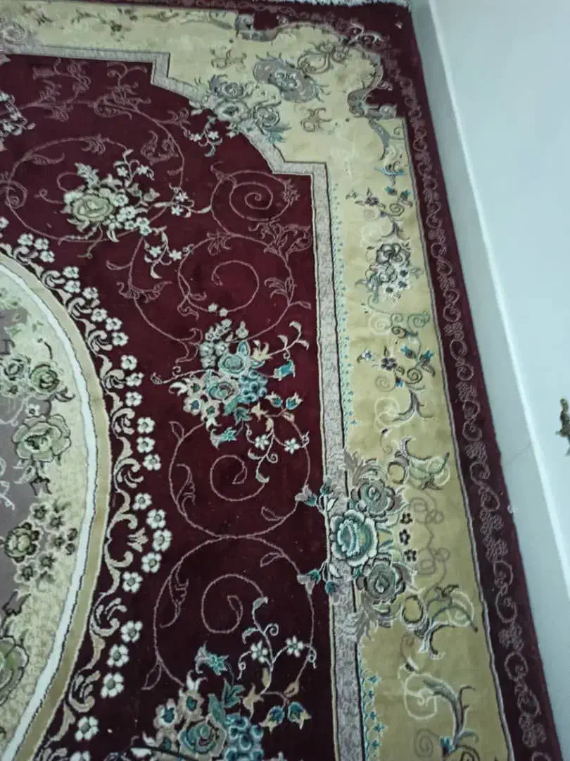 فرش دوازده متری پانصد شانه|فرش|فولادشهر, B6|دیوار