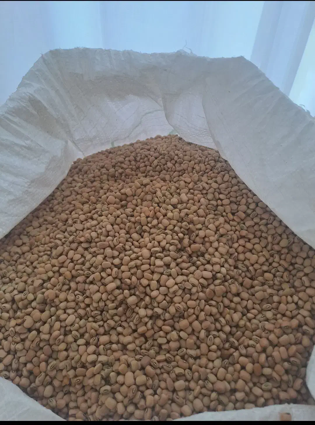 لوبیا آشی|خوردنی و آشامیدنی|دره شهر, |دیوار