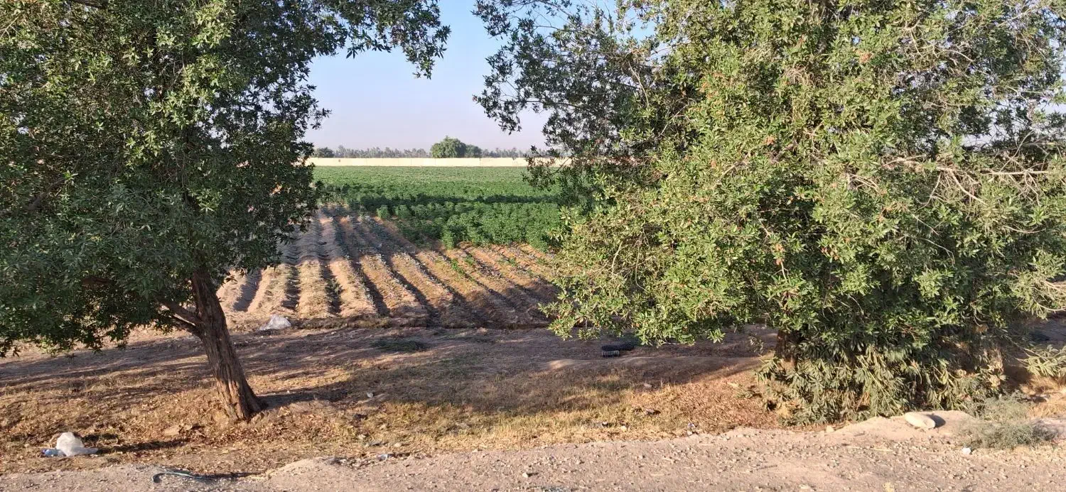 فروش 5000 متر زمین جنب اتوبان خوش قطعه|فروش دفتر صنعتی، کشاورزی، تجاری|اندیمشک, |دیوار