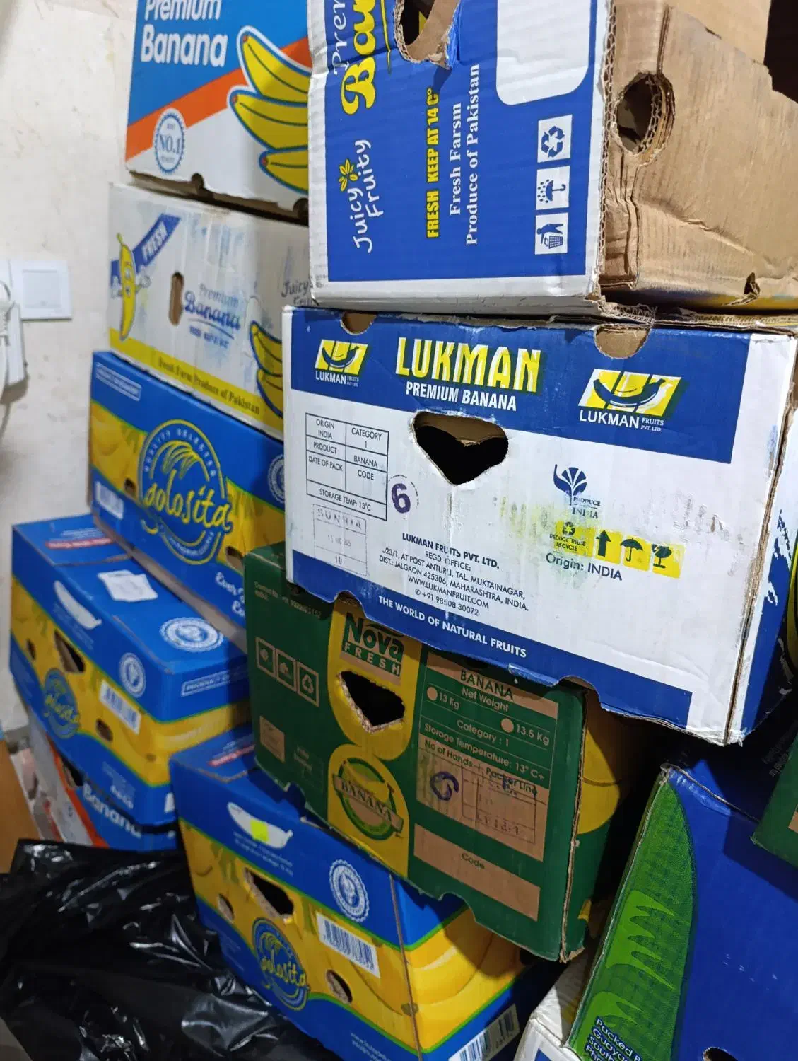 کارتن موز|عمدهفروشی|رشت, معلم|دیوار