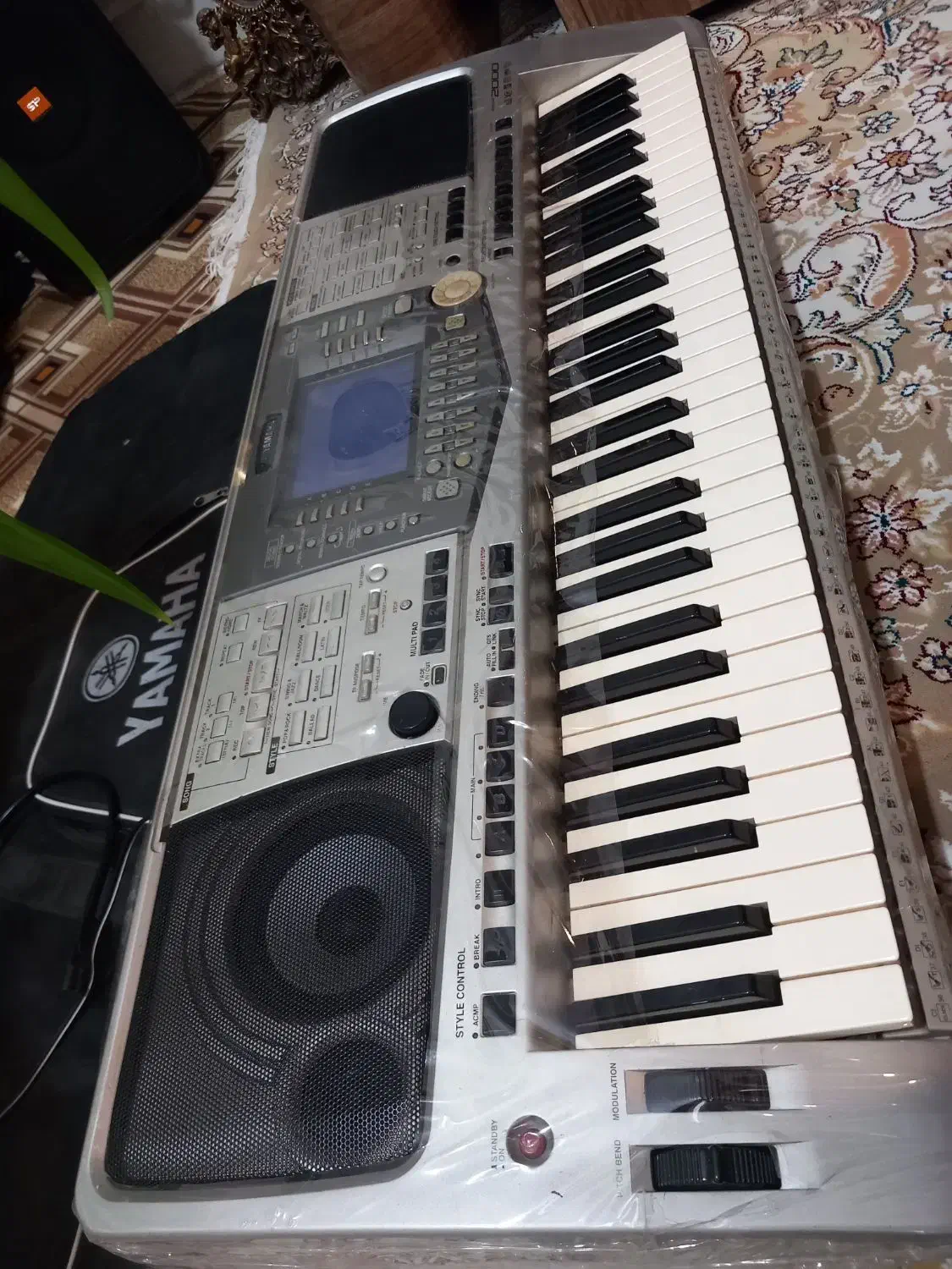 ارگ|پیانو، کیبورد، آکاردئون|کرمانشاه, |دیوار