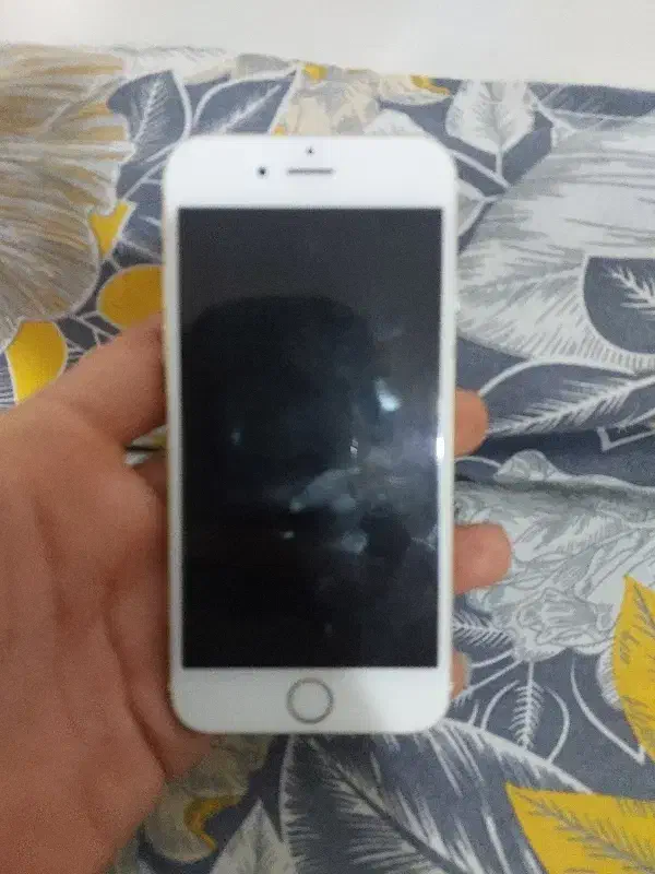 ایفون ۶|موبایل|چغادک, |دیوار