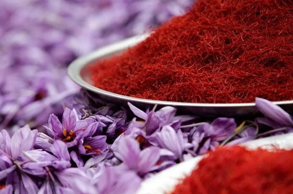 خرید و فروش گل و پیاز زعفران مرغوب|گل و گیاه طبیعی|ملایر, |دیوار