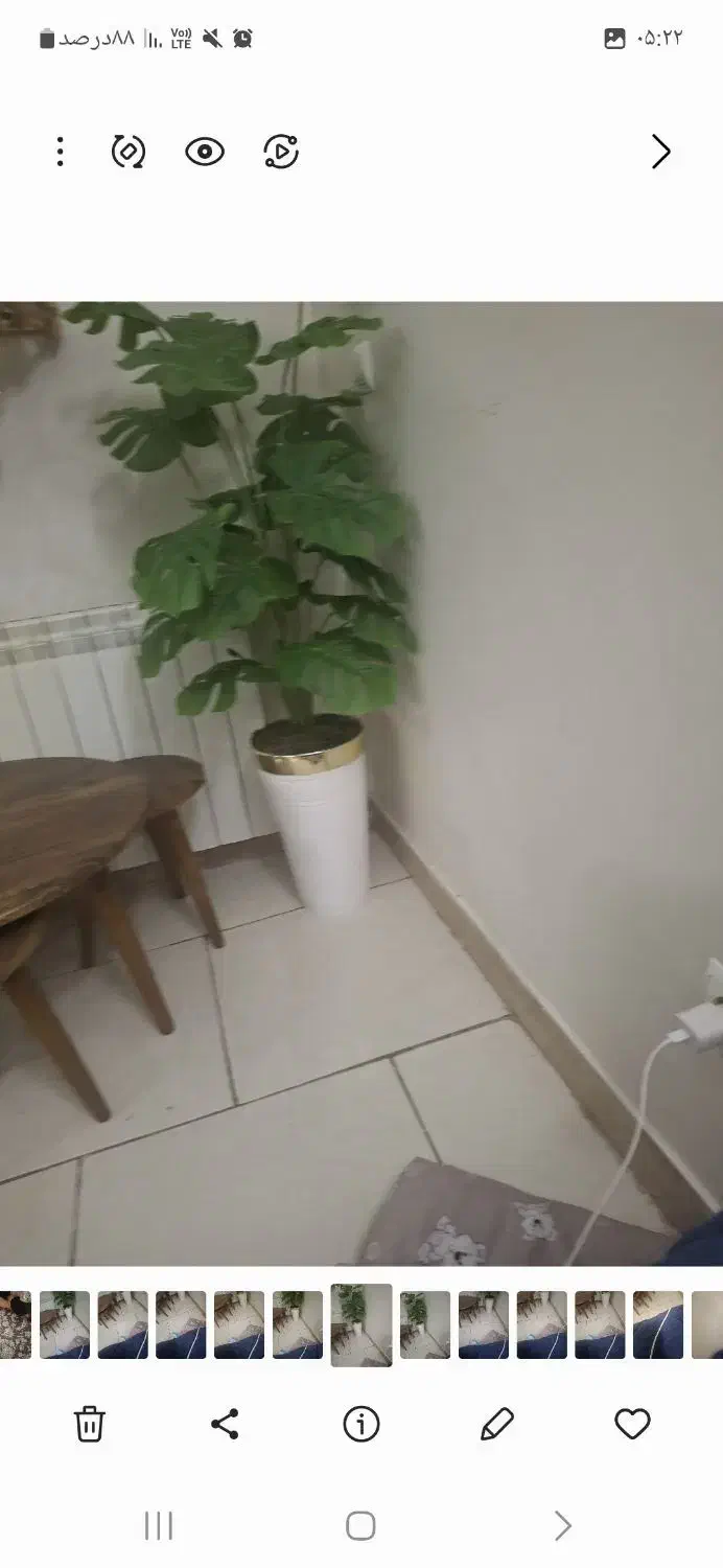 گل و گلدان نونو|گل و گیاه طبیعی|رباط‌کریم, نوده|دیوار