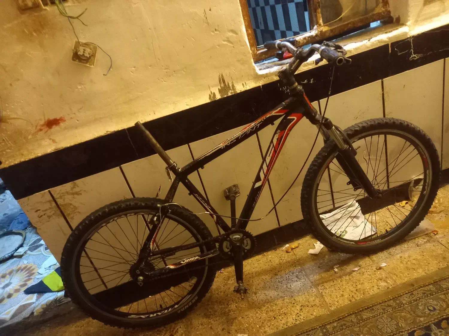 اهواز کوی سیاحی|دوچرخه، اسکیت، اسکوتر|اهواز, گلدشت|دیوار