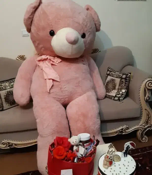 خرس خارجی|اسباب‌بازی بچه|تبریز, |دیوار