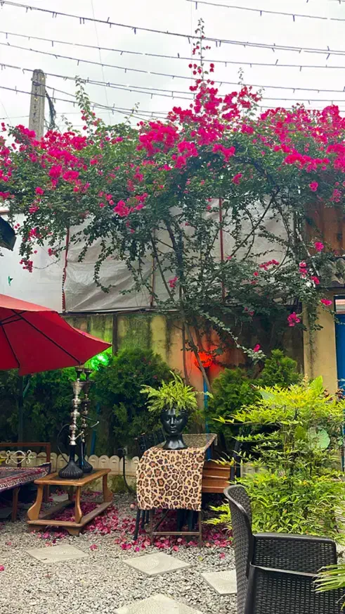 جذب نیرو کار|استخدام خدمات فروشگاه و رستوران|رشت, ولکس|دیوار