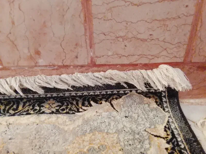 فرش 9متری نگین مشهد با تخفیف|فرش|رباطکریم, رباطکریم|دیوار