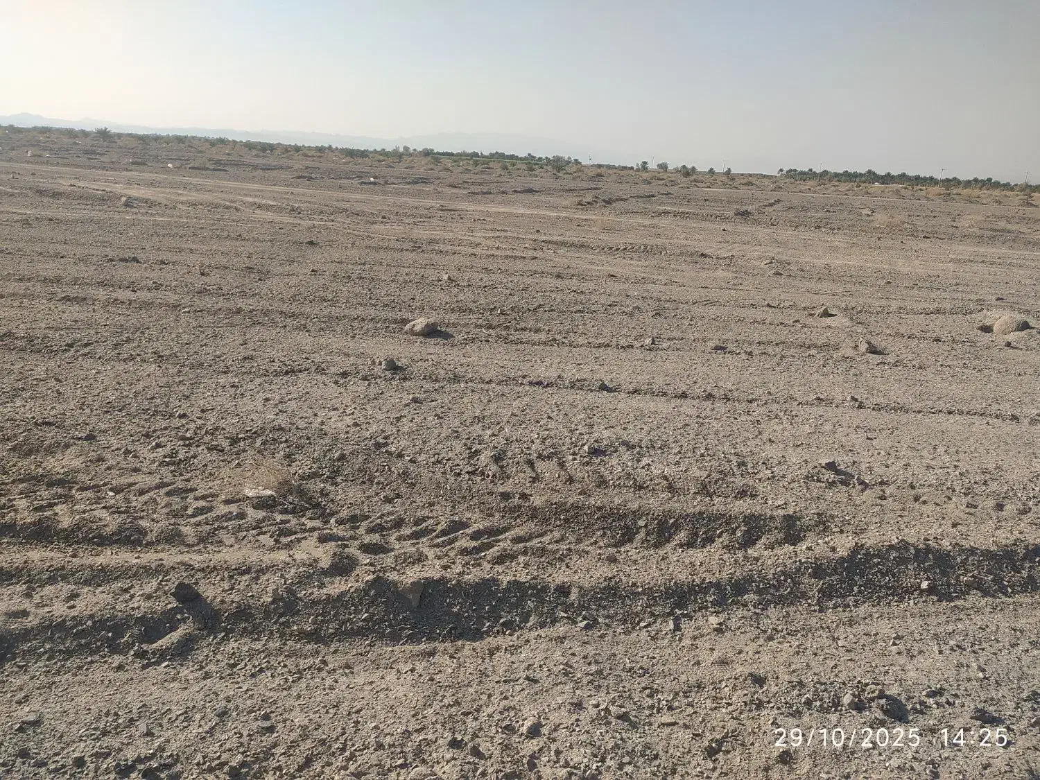 زمین|فروش زمین و ملک کلنگی|میرجاوه, |دیوار