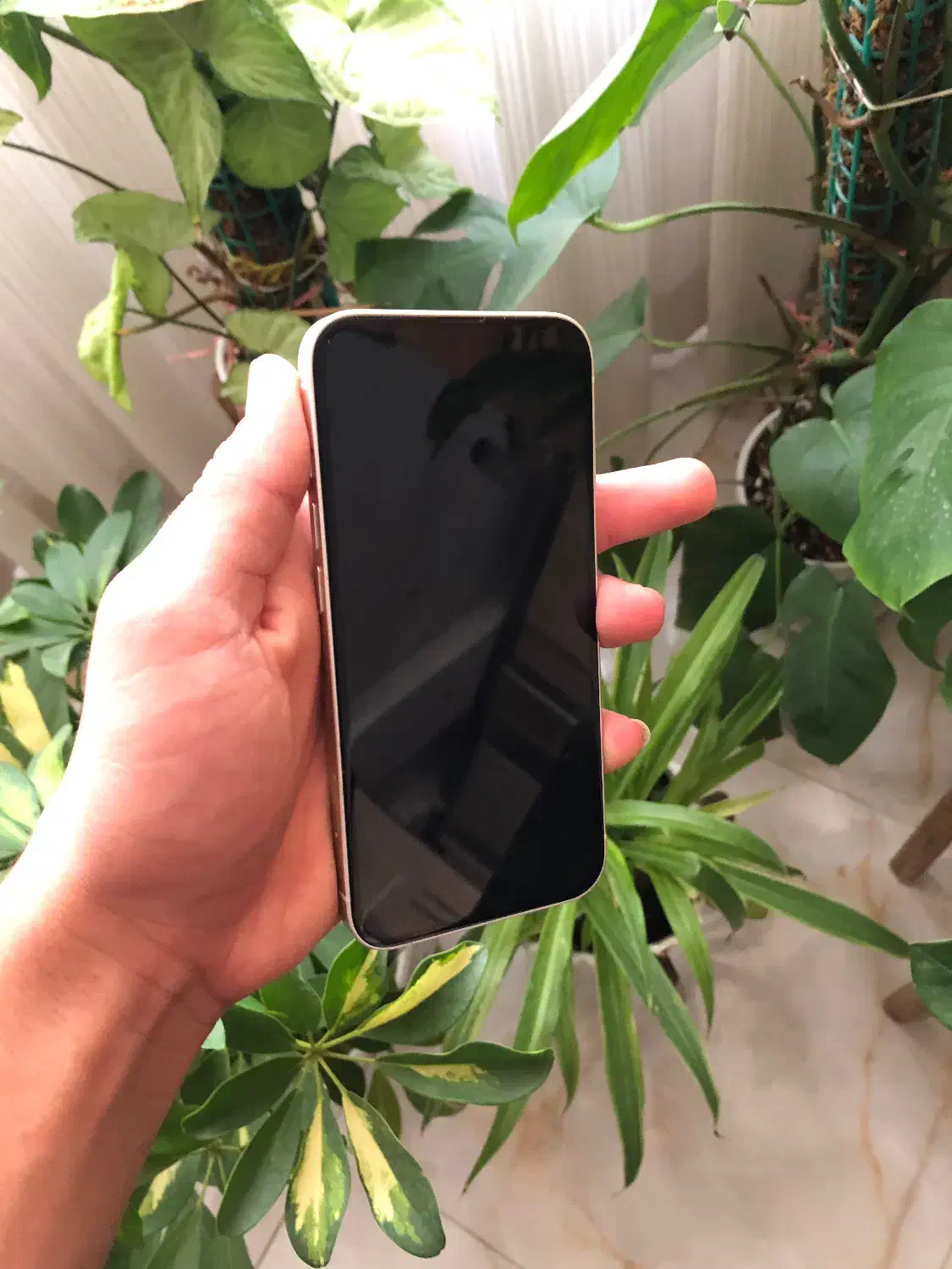 ایفون ۱۳ نرمال|موبایل|بجنورد, |دیوار