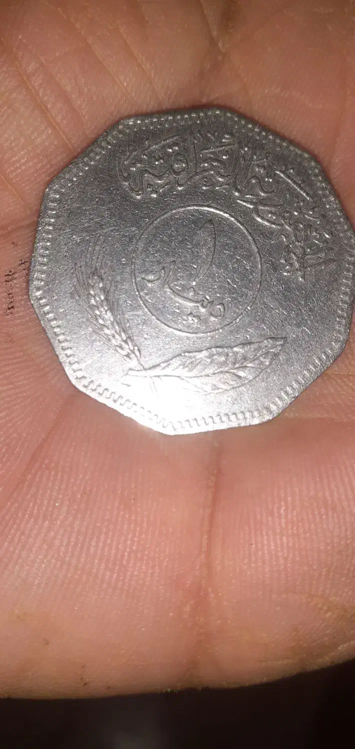 سکه عتیقه|کلکسیون اشیاء عتیقه|قروه, |دیوار