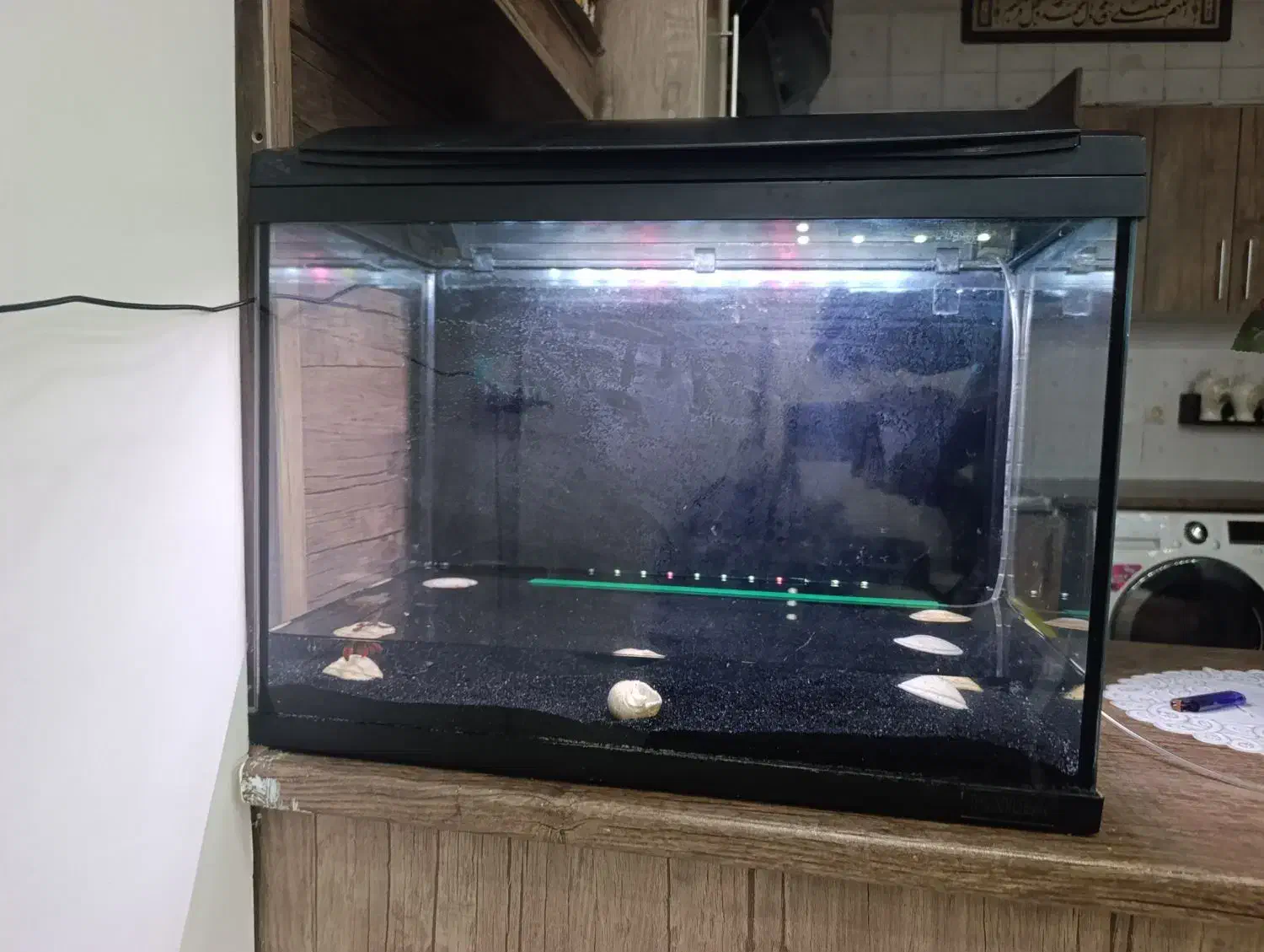 اکواریم هایلا  مدل f60|ماهی|بومهن, |دیوار