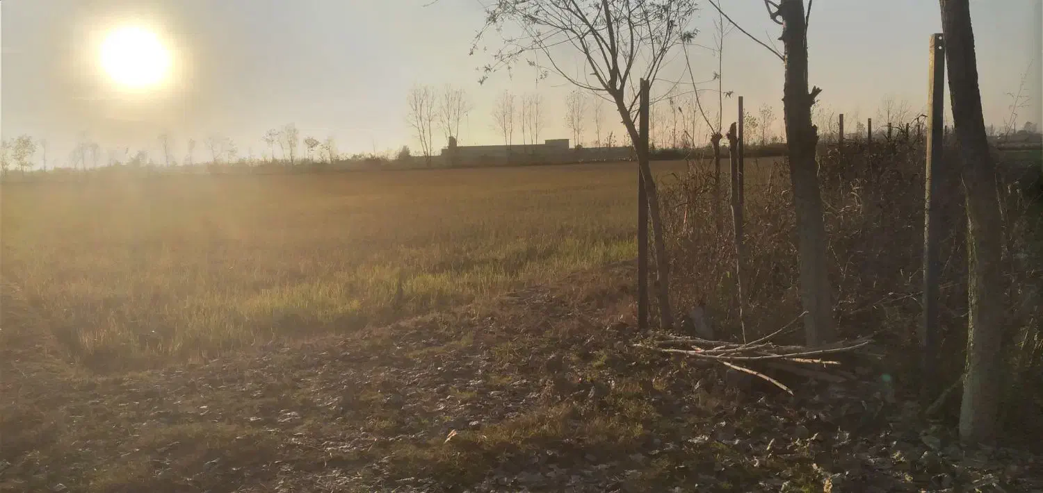 زمین باغی با انشعابات نزدیک|فروش دفتر صنعتی، کشاورزی، تجاری|کیاشهر, |دیوار