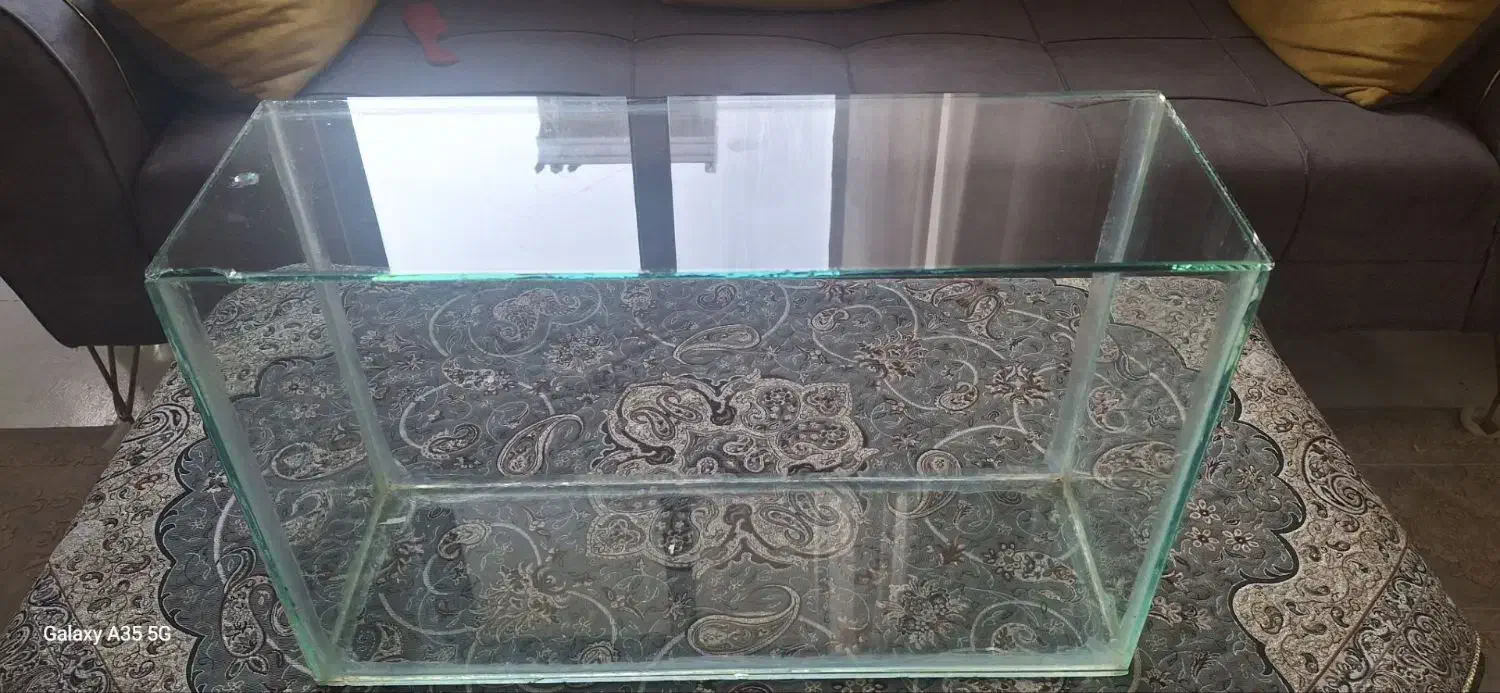 آکواریوم در دار|ماهی|سرپل ذهاب, |دیوار