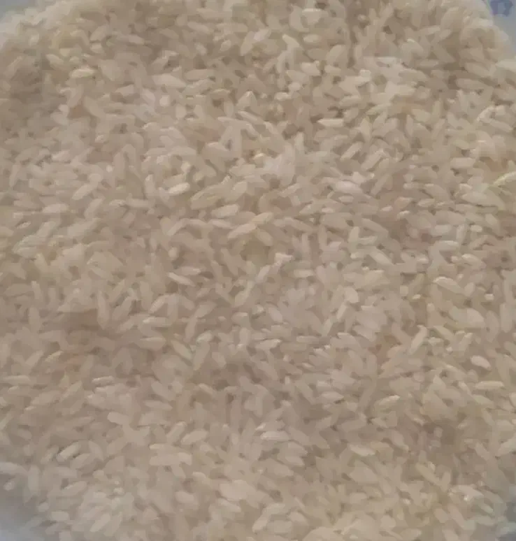 برنج|خوردنی و آشامیدنی|لوداب, |دیوار