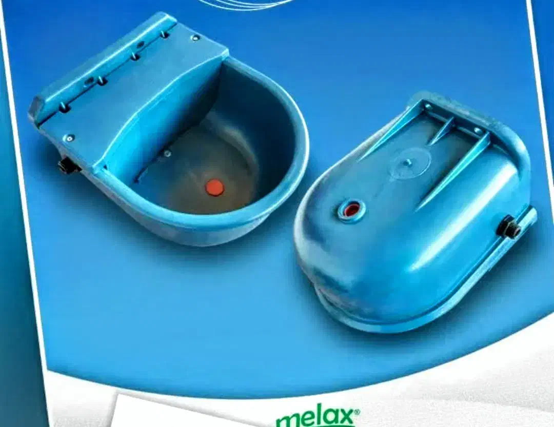 وسایل و لوازم باشگاه سوارکاری|اسب و تجهیزات اسبسواری|تهران, صادقیه|دیوار