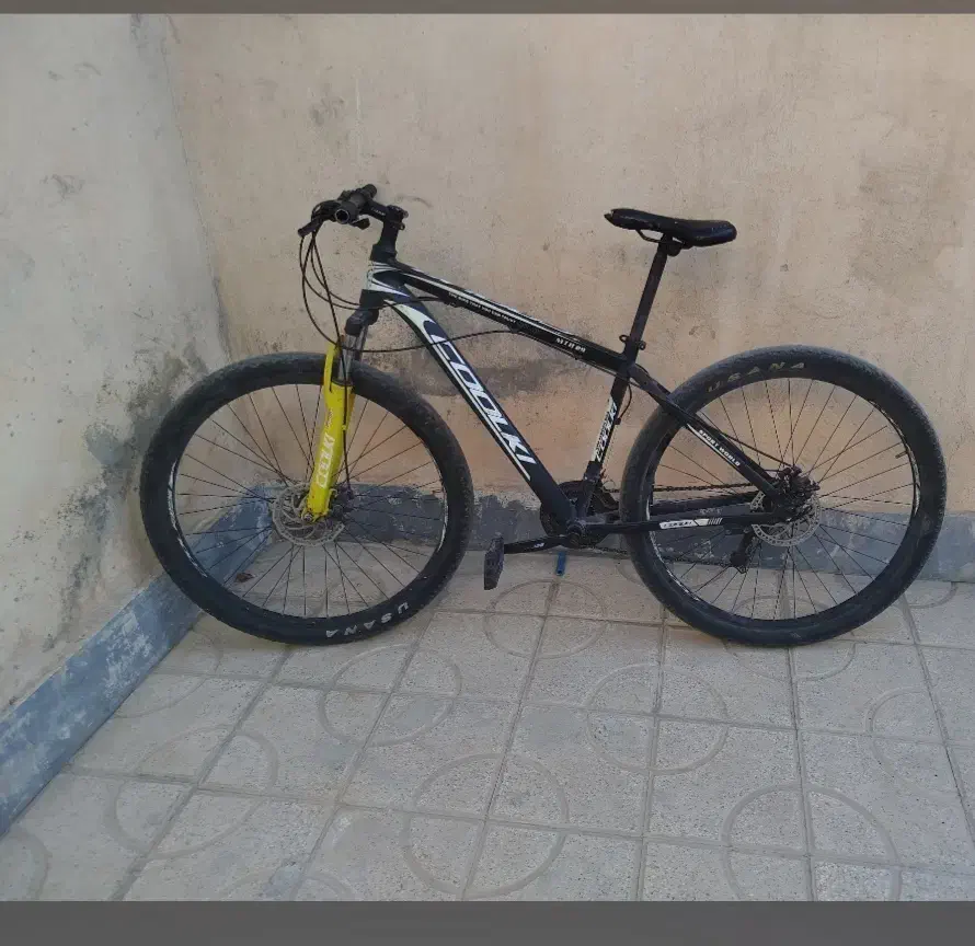 دوچرخه 29|دوچرخه، اسکیت، اسکوتر|مرودشت, ژیان|دیوار