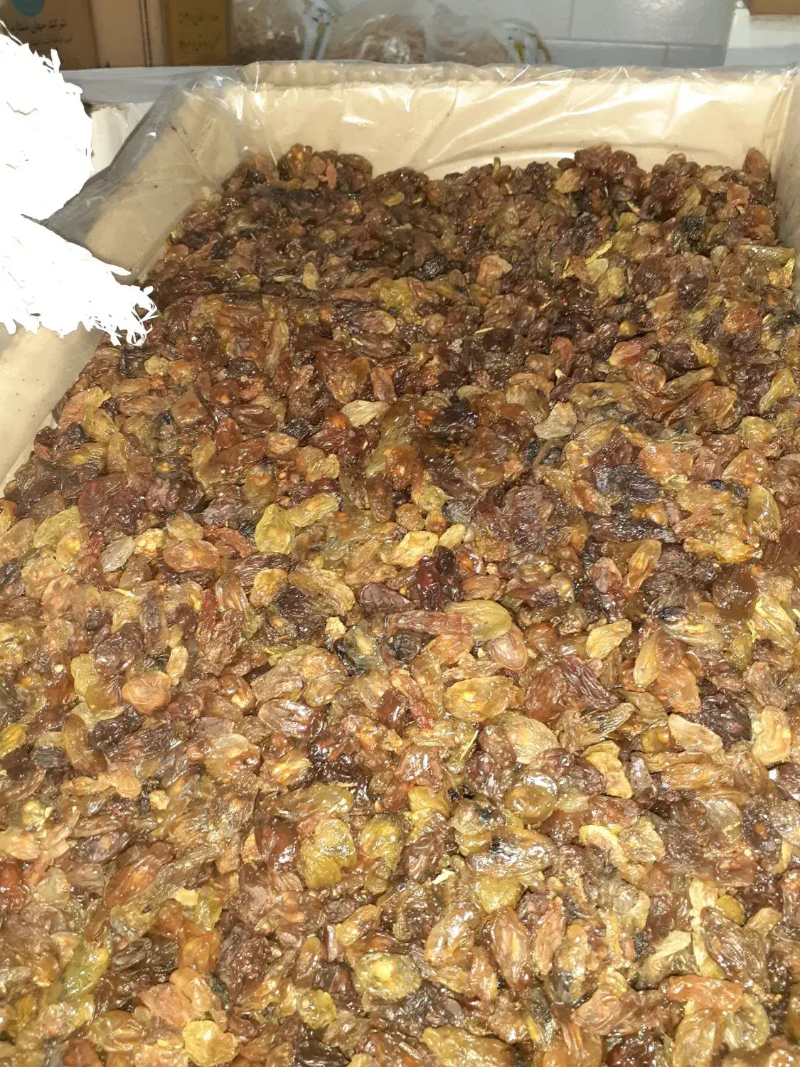 فروش انواع کشمش آفتابی و دودی|خوردنی و آشامیدنی|میانه, |دیوار