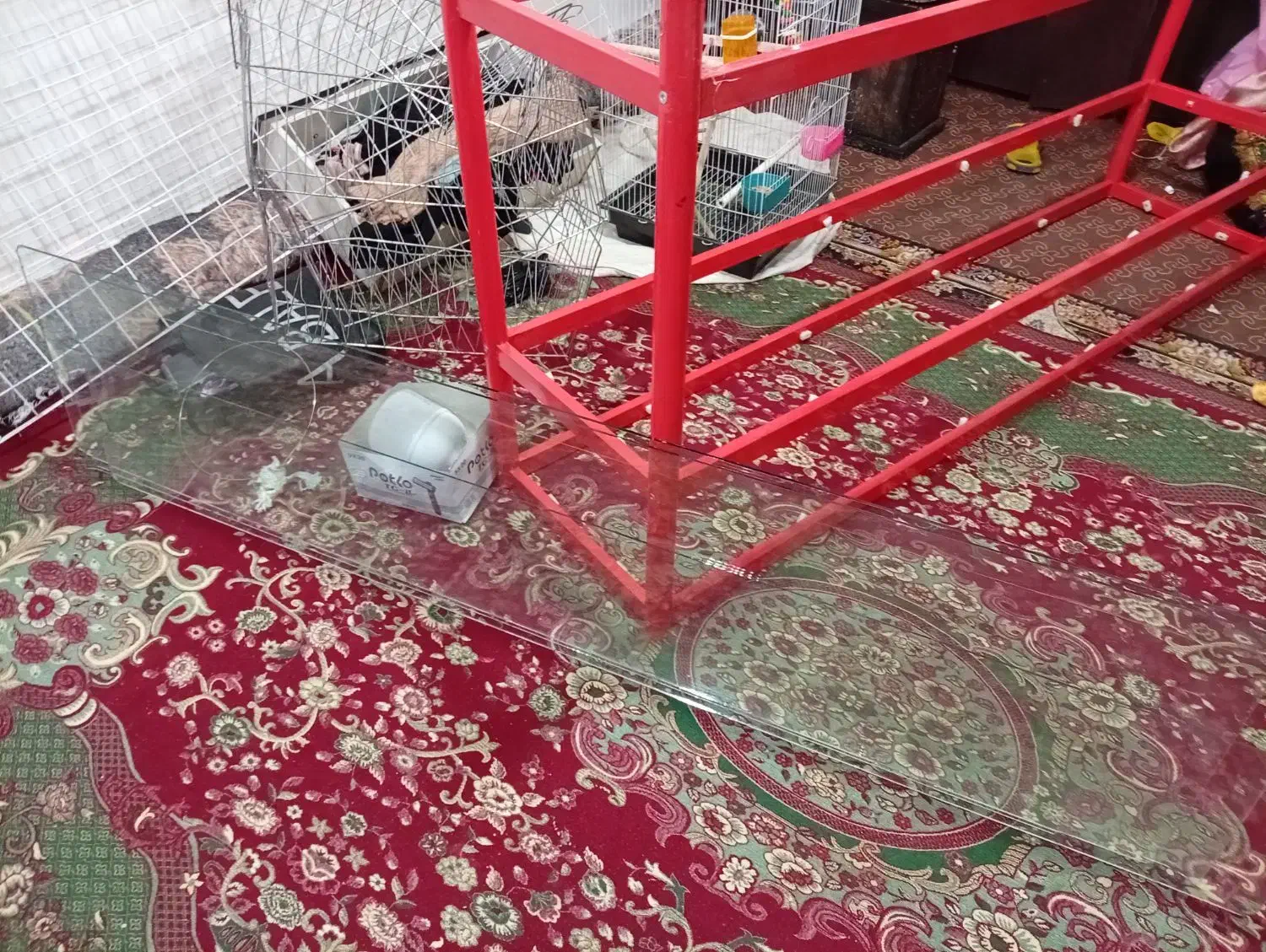 مانکن ویترین قفسه|کتابخانه، شلف، قفسه‌های دیواری|اندیشه, اندیشه فاز ۲|دیوار