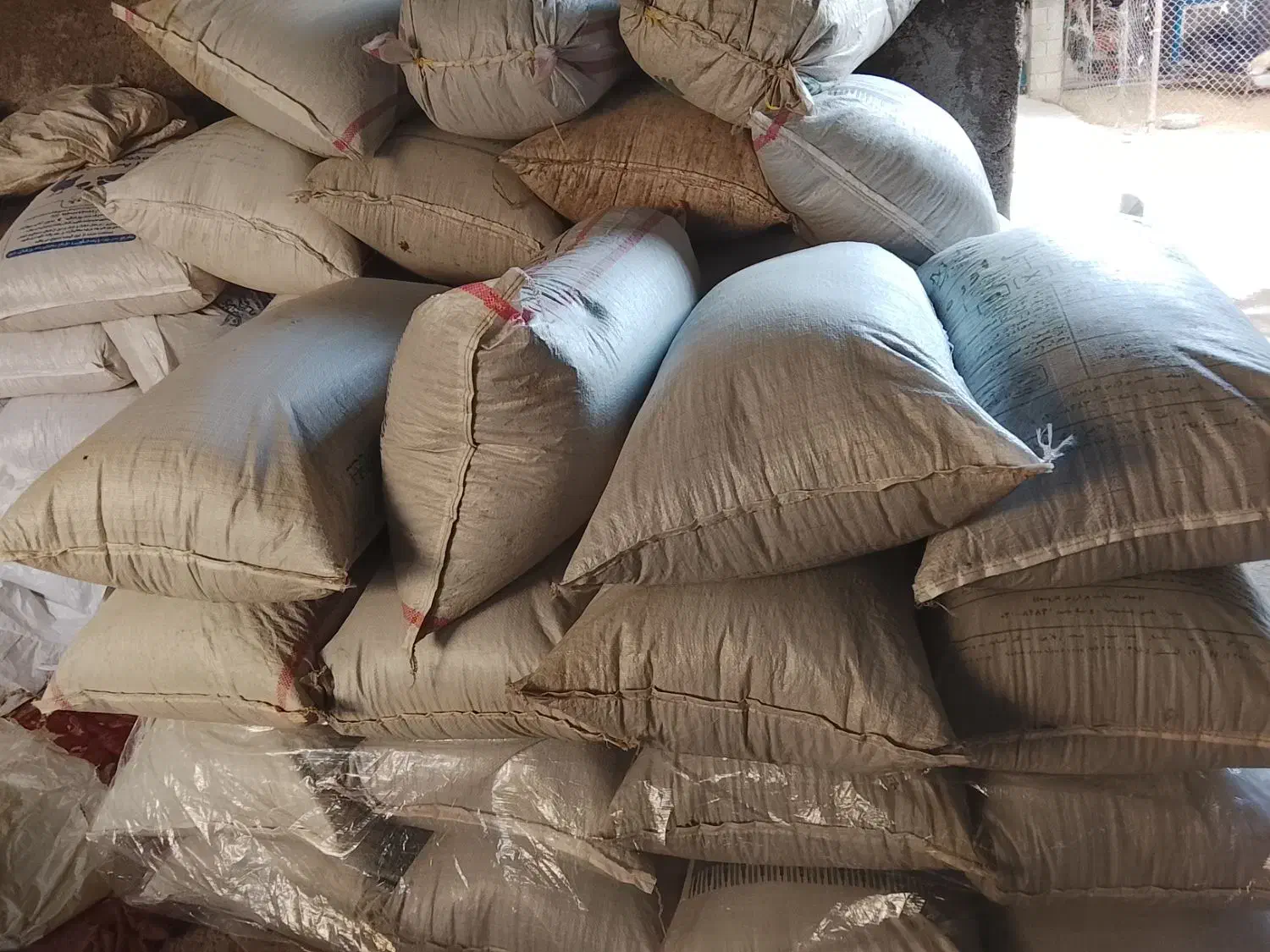 ماش ارتشی کمباین|خوردنی و آشامیدنی|گتوند, |دیوار