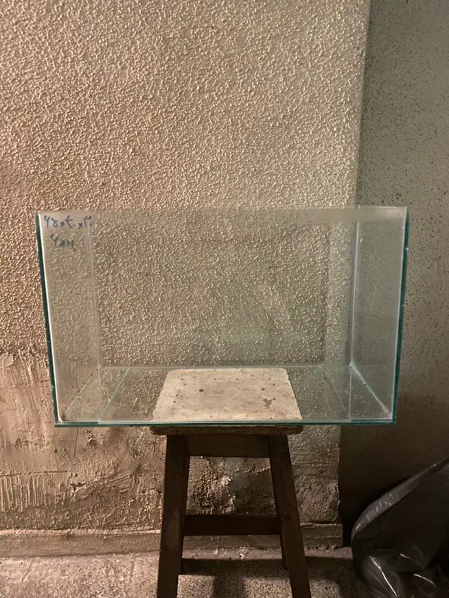 آکواریوم شیشه ای|ماهی|تهران, سید خندان (جلفا)|دیوار