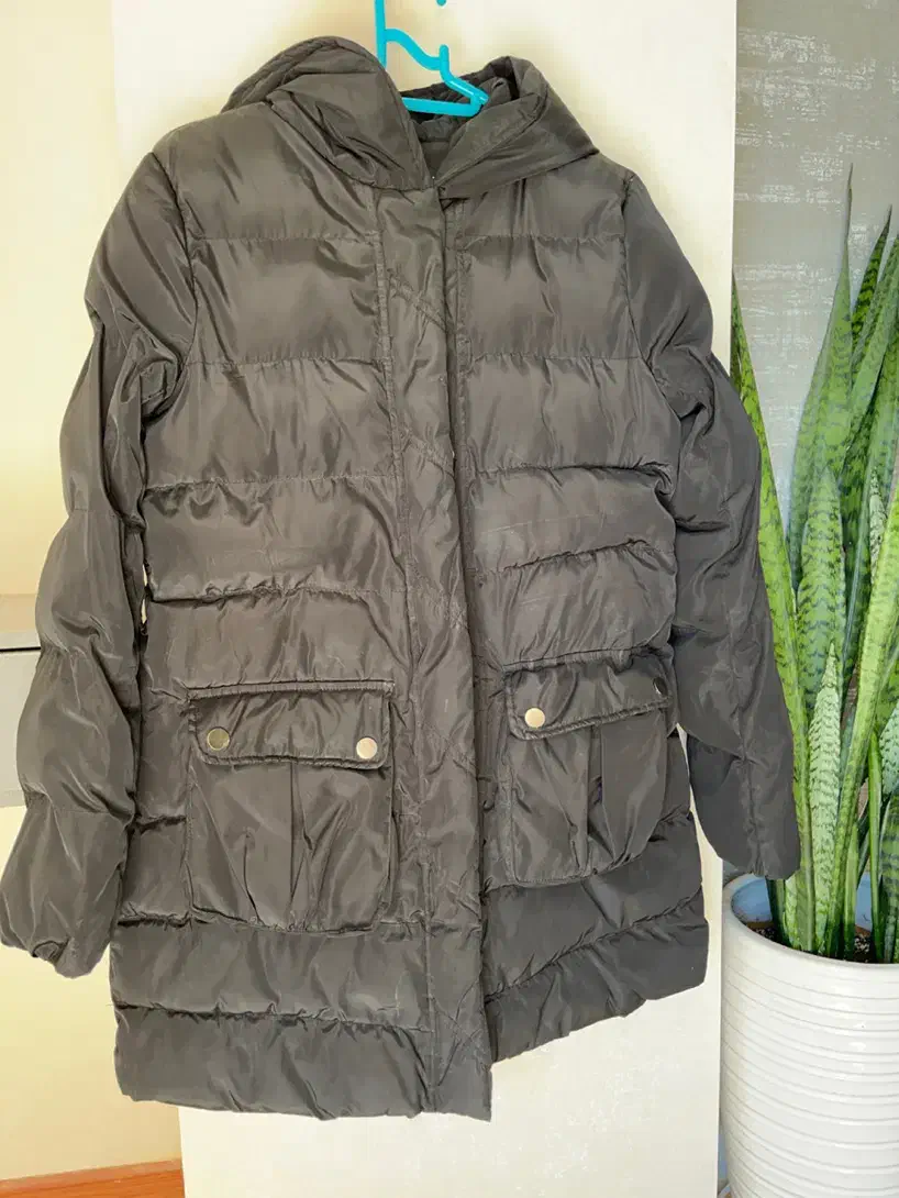 کاپشن بادی زنانه|لباس|بهبهان, |دیوار