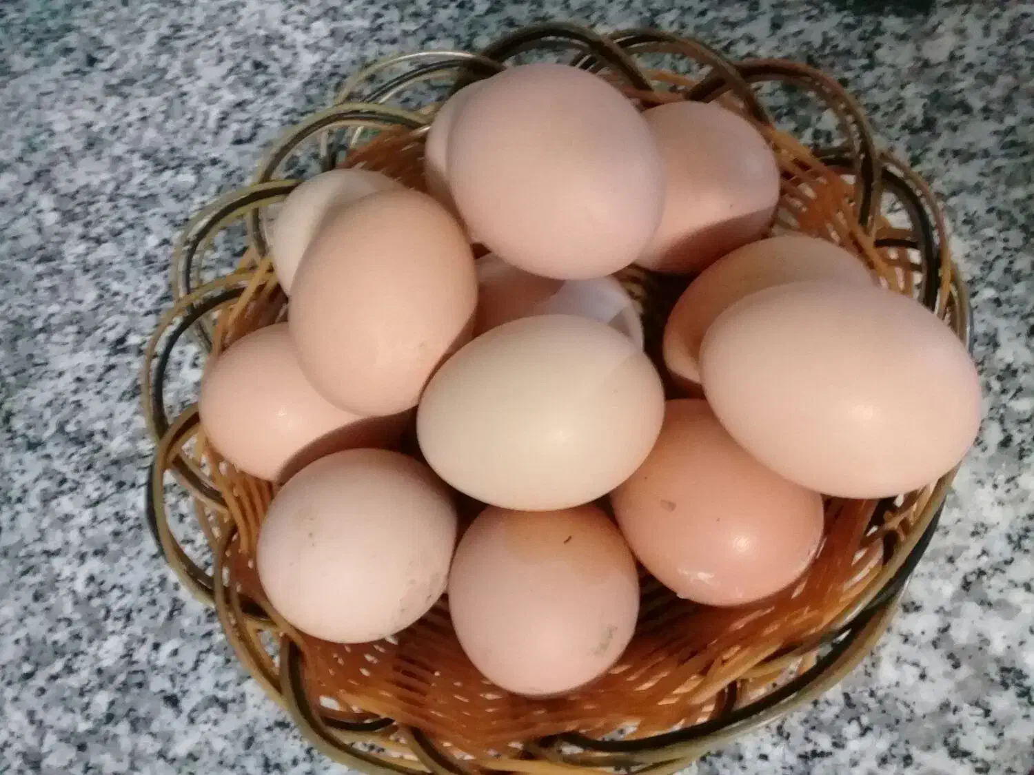 تخم مرغ بومی خانگی|خوردنی و آشامیدنی|اصفهان, شمس آباد|دیوار