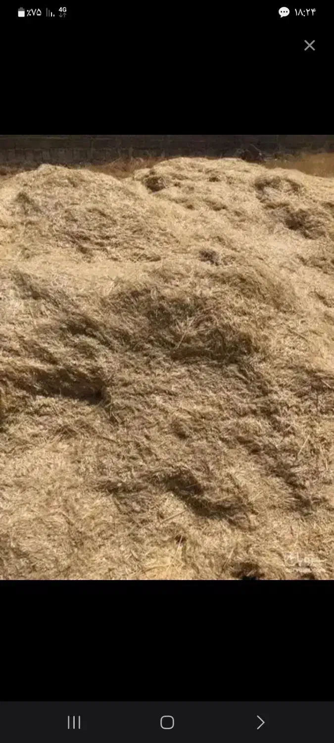 خریدار کاه گندم|خدمات باغبانی و درختکاری|کرمانشاه, |دیوار