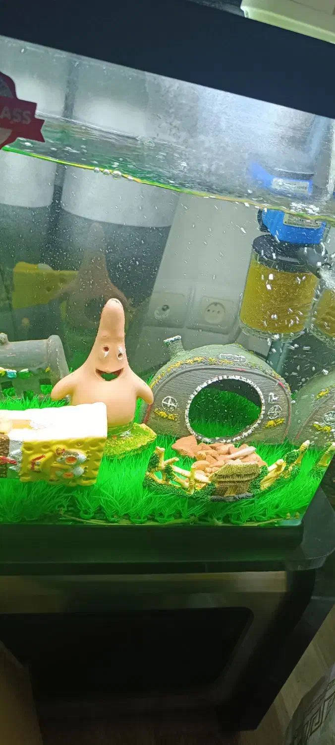 آکواریوم سالم در حد نو|ماهی|کومله, |دیوار