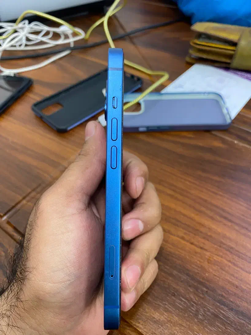 آیفون۱۳نرمال پلمپ درحدنو|موبایل|تبریز, |دیوار